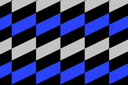 Racing Diagonal Check Silver Black