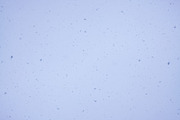 Snowfall textures and overlays, a Nature Photo by pictures for you (Thumbnail 15 of 15)
