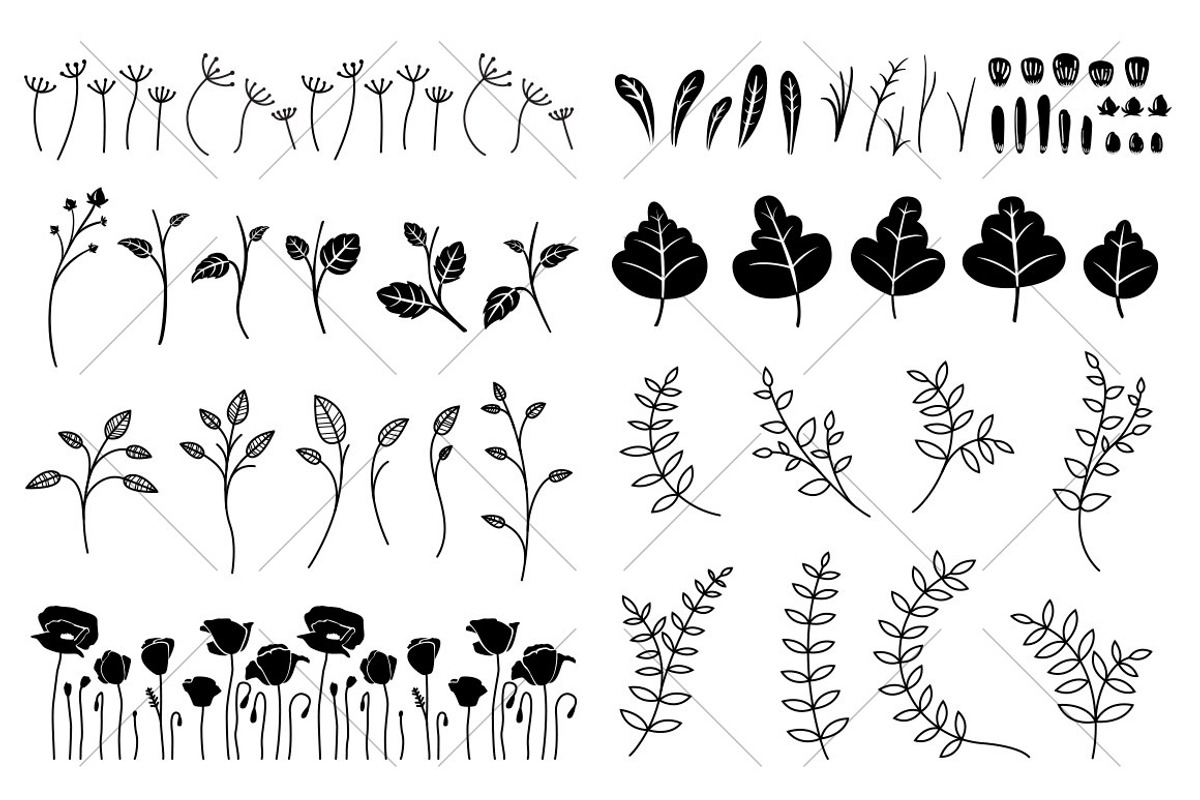 Vector Illustrated Floral Pack, an Illustration by Boelter Design Co (Photo 5 of 6)