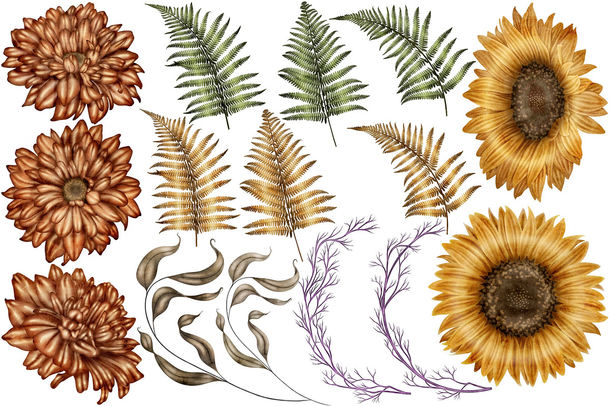 Halloween Botanicals Clipart set., a Seasonal Illustration by Happy Sloth Graphics (Photo 5 of 16)