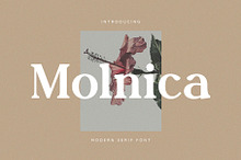 Molnica – Stylish Modern Serif Font