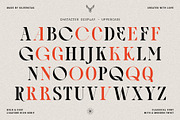 Archer Display - Ligature Serif Font, a Serif Font by SilverStag Type Foundry (Thumbnail 26 of 29)