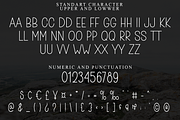 Soultime, a Sans Serif Font by FreshTypeINK (Thumbnail 3 of 8)