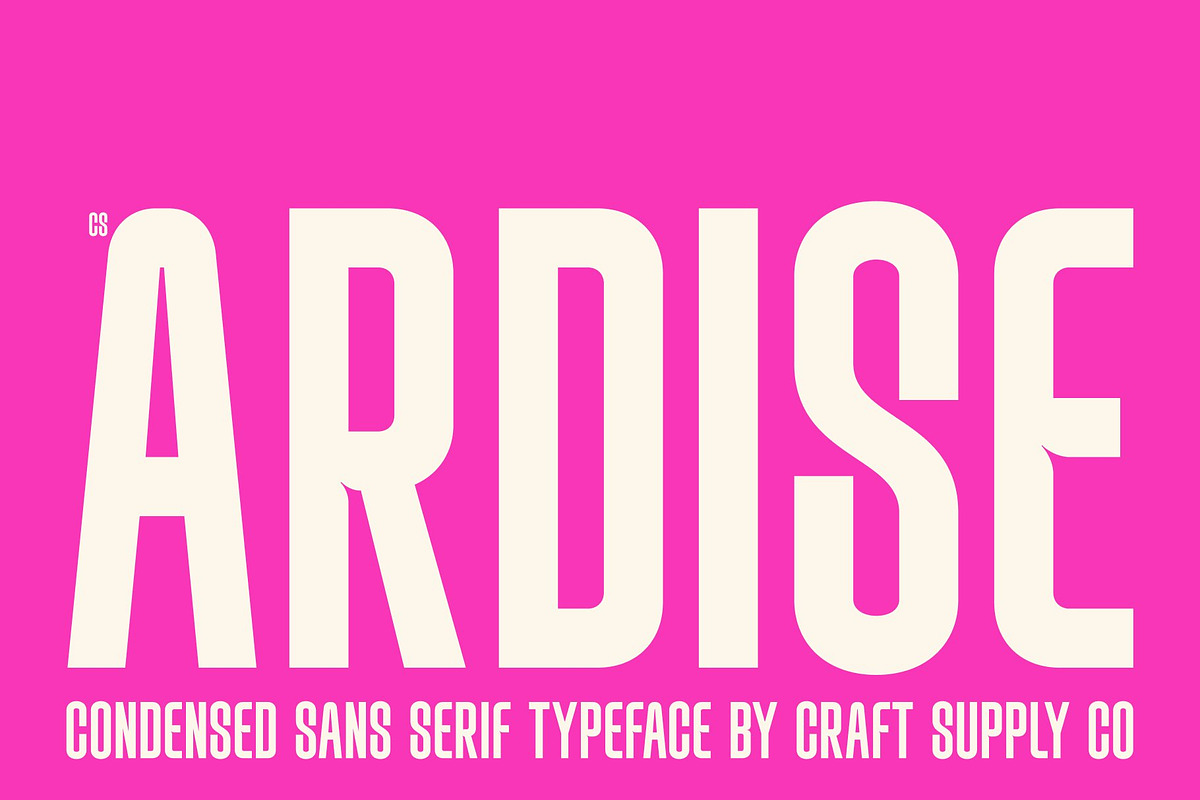 CS Ardise – Condensed Font, a Sans Serif Font by Craft Supply Co. (Photo 1 of 8)