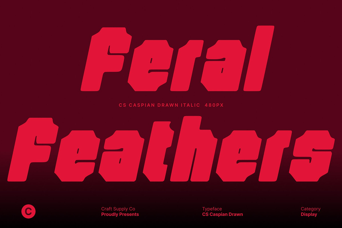 CS Caspian Drawn, a Sans Serif Font by Craft Supply Co. (Photo 3 of 8)