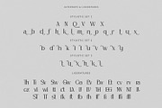 Carfield, a Serif Font by din-studio.com (Thumbnail 7 of 11)