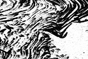 Lilliputian, a Texture Graphic by Jennifer Lauren Creative (Thumbnail 28 of 28)