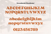 Sergio Trendy - Modern Serif Font, a Serif Font by Kulokale (Thumbnail 12 of 15)