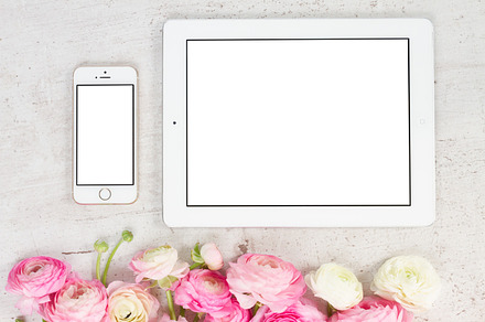 Pink and white ranunculus flowers stock photo containing flowers and, a Business Photo by Neirfy