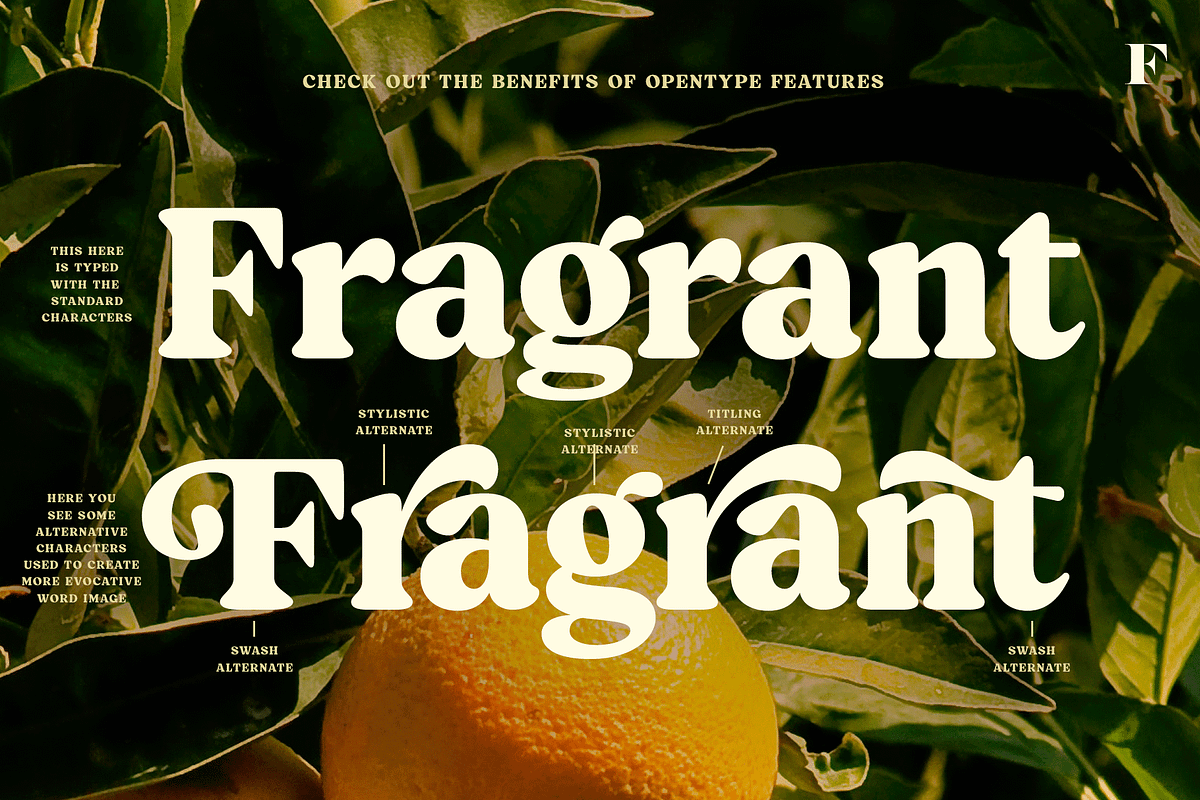 Blood Orange Vintage Serif, a Serif Font by Fenotype (Photo 3 of 16)