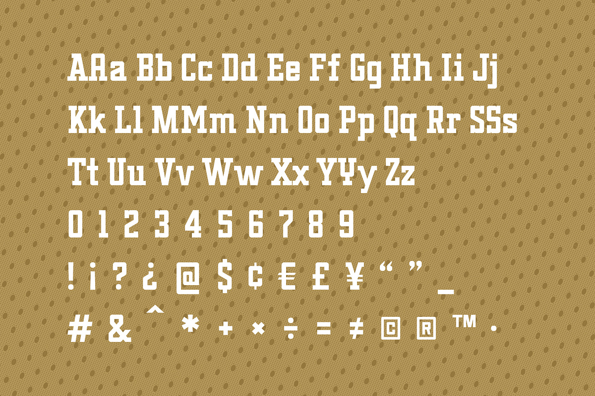 Assembly Slab - Serif Font, a Slab Serif Font by Tim Hankins Design (Photo 2 of 8)