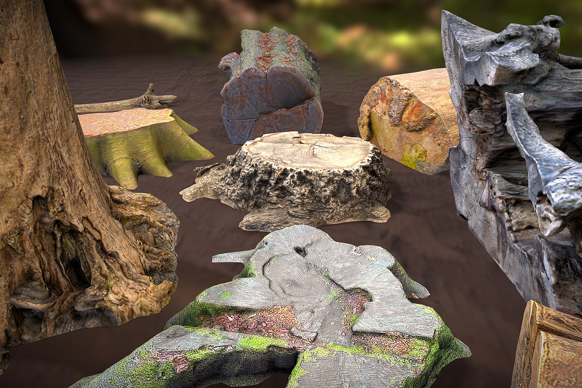 Forest Elements, an Environmental 3D Model by Beatheart Creative Studio (Photo 8 of 25)