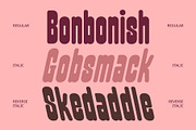 CS Gilman – Bold Font, a Sans Serif Font by Craft Supply Co. (Thumbnail 5 of 8)