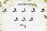 Sweet Jasmine | Script Font, a Handwritten Font by Scratchones (Thumbnail 8 of 9)