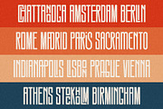 SLTF Snowpack - Ultra Condensed Font, a Sans Serif Font by SilverStag Type Foundry (Thumbnail 21 of 30)