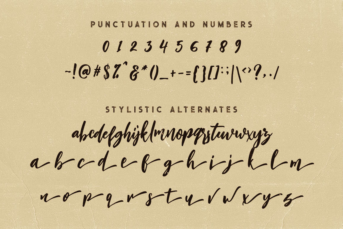 Charlie Script Font preview 7