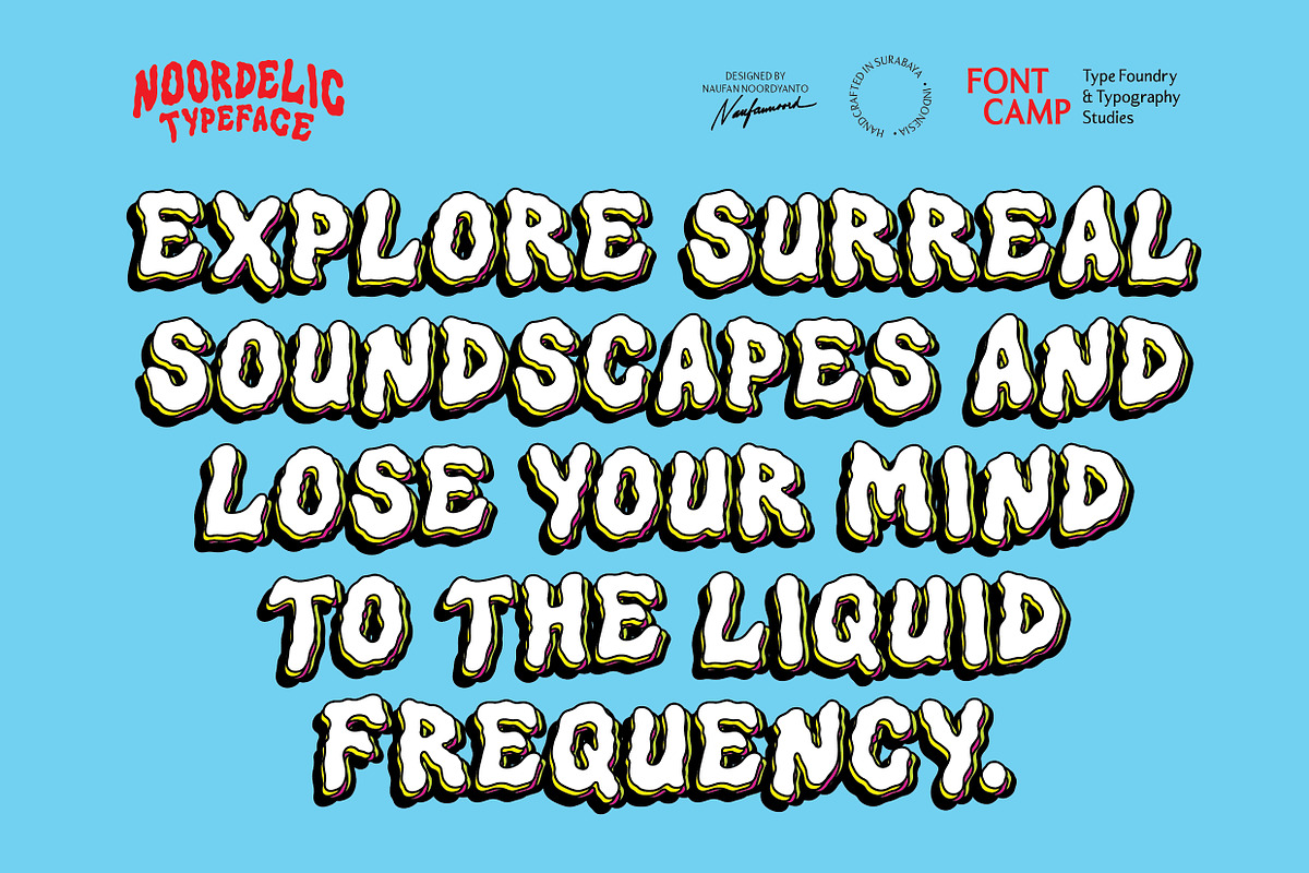 Noordelic Font, a Symbol Font by Fontcamp Type Foundry (Photo 4 of 14)