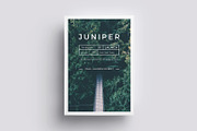 J U N I P E R  Flyer Template, a Flyer Template by 46&2 Collective (Thumbnail 4 of 11)
