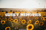 Piqi | Elegant Modern Serif for Luxu, a Font by Astuti Studio (Thumbnail 6 of 16)