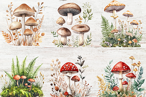 Watercolor Mushrooms Clipart Bundles