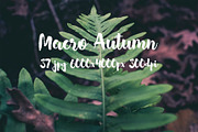 Macro Autumn photo bundle, a Templates & Theme by ApertureVintage (Thumbnail 5 of 21)