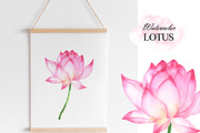 Watercolor lotus flower clipart, an Illustration by OlDm_Shop (Thumbnail 8 of 10)