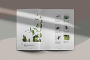 Quaro & Gillen - Botanical Brochure, a Magazine Template by KAZ by IanMikraz Studio (Thumbnail 6 of 11)