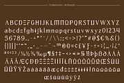 CS Olivera Drawn, a Serif Font by Craft Supply Co. (Thumbnail 8 of 8)