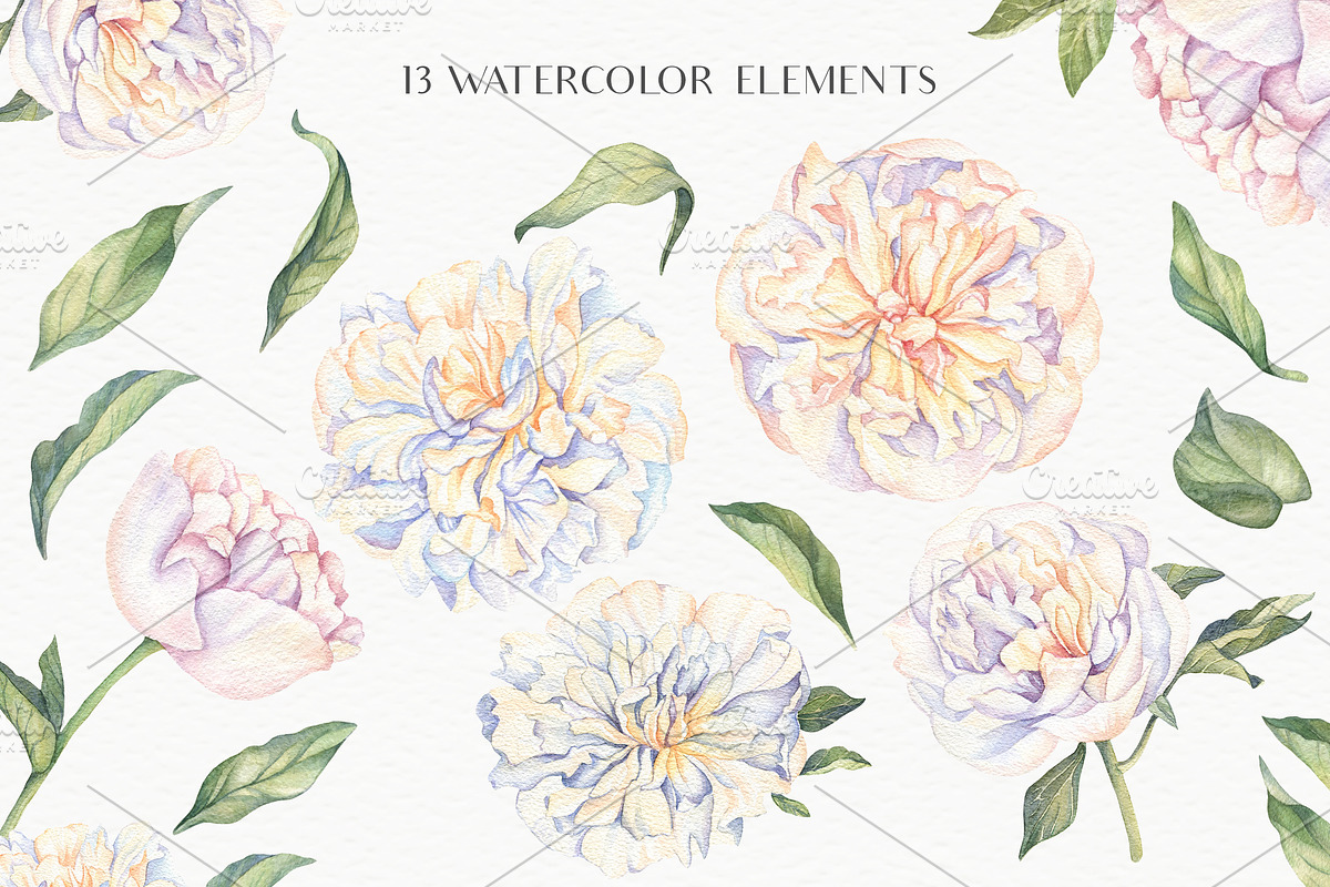 White Peonies-Watercolor Set, a Decorative Illustration by Irina Diasli (Photo 3 of 10)