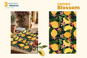 Lemon Blossom Seamless Patterns, a Pattern Graphic by moja doodle (Thumbnail 3 of 4)