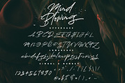 Mind Blowing 3 Brush Font Set 40%OFF, a Script Font by Dirtyline Studio (Thumbnail 16 of 18)