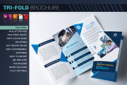 Tri-fold Brochure, a Brochure Template by artico (Thumbnail 4 of 5)