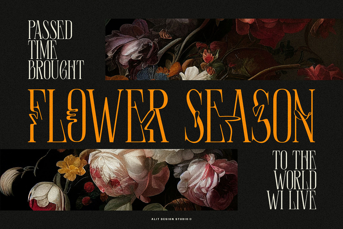 Euromunche Typeface, a Serif Font by alit design (Photo 2 of 15)
