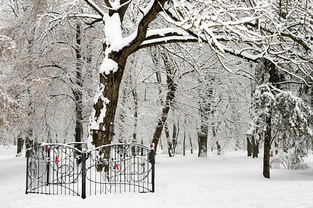 Winter Park Stock Photo Containing Beautiful And Frost preview 5