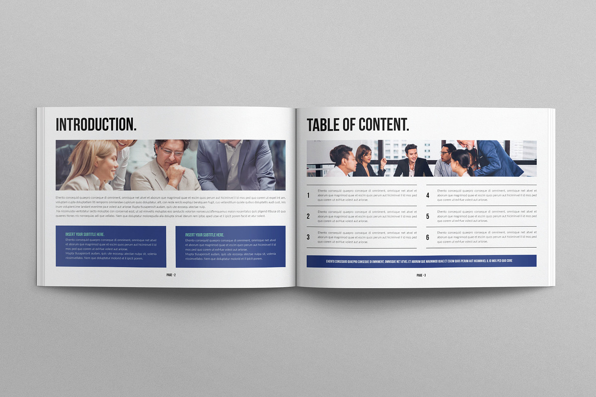 Business Brochure Template Landscape, a Brochure Template by E-Type (Photo 2 of 7)