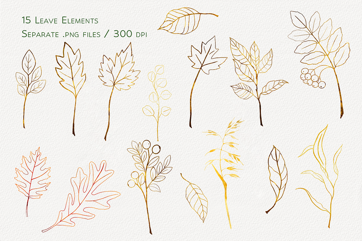 Autumn Elegance Leaf Bundle, a Decorative Illustration by Aurella Art (Photo 2 of 15)