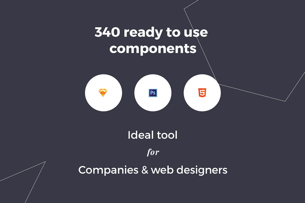 Phoenix Startup UI Kit Pro, an UI Kit Template by itmeo (Photo 3 of 4)