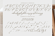 Rulligedro Modern Calligraphy Script, a Script Font by Letterena Studios Script (Thumbnail 13 of 15)