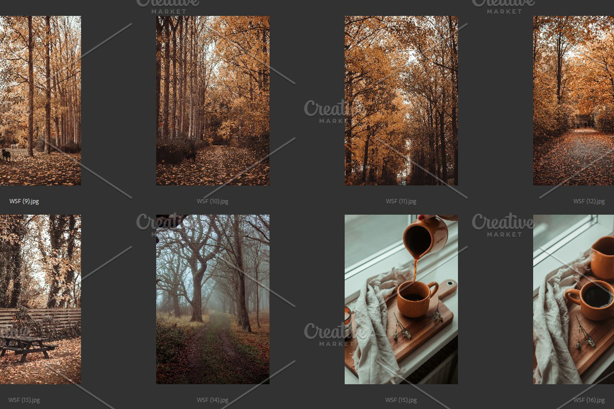 Cozy FALL Season (45 images), a Nature Photo by studiottander (Photo 9 of 9)