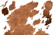 Cowhide Pattern Leaves Abstract, a Pattern Graphic by faeDesign (Thumbnail 7 of 10)