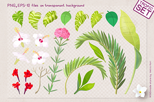 vector tropic plants set