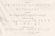 Amichan - Elegant Script, a Script Font by Salamahtype (Thumbnail 9 of 10)
