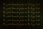 Boiled Peanuts - Casual Signature, a Font by tebaltipislab (Thumbnail 9 of 10)