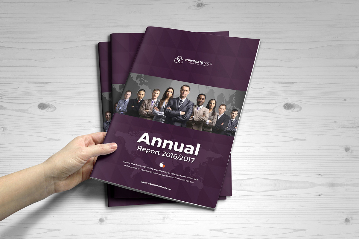 Annual Report Template V3, a Brochure Template by JanySultana (Photo 8 of 14)