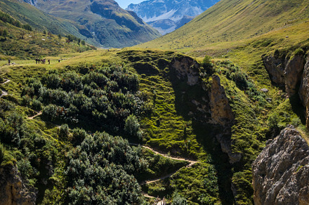 Mountain river and wood bridge in Vanoise national Park valley,, a Background Photo by GoodGoods