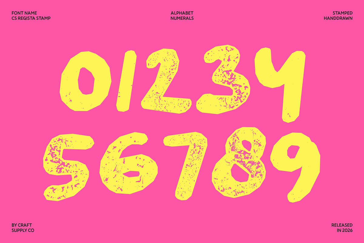 CS Regista Stamp, a Sans Serif Font by Craft Supply Co. (Photo 6 of 8)