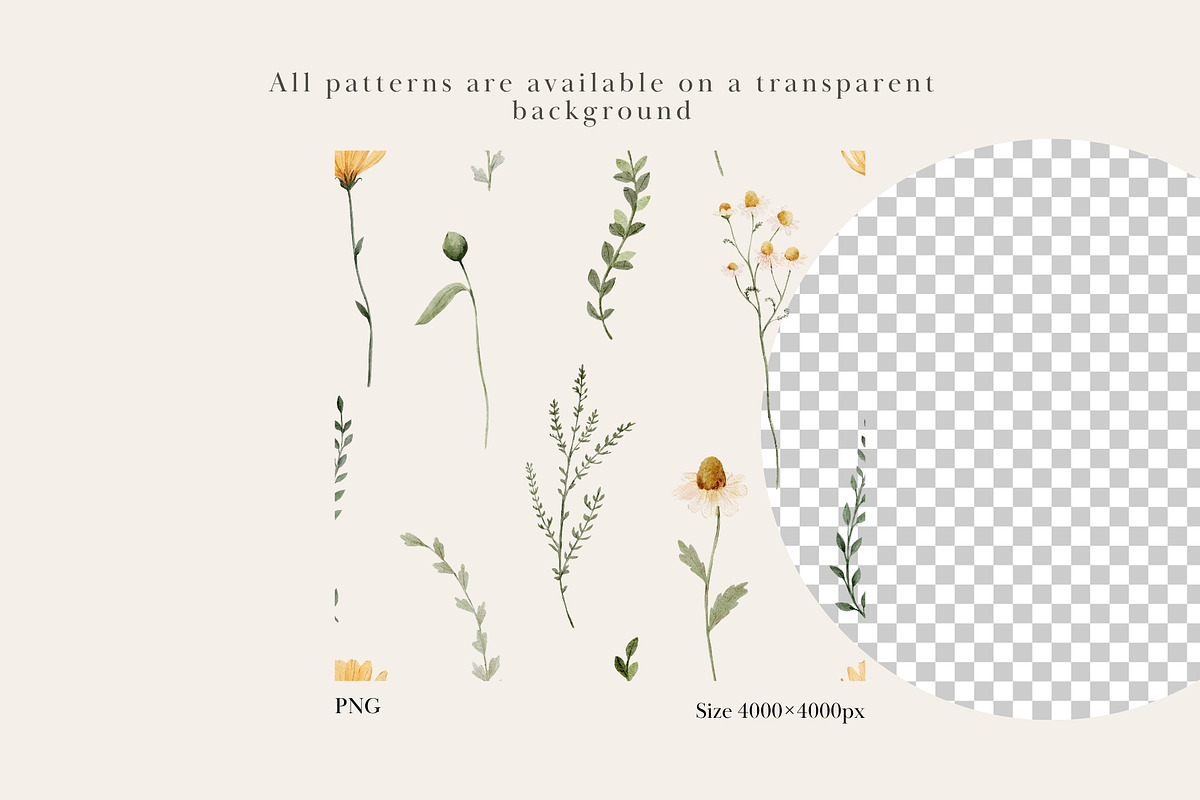 Watercolor Wildflowers Collection, an Object Illustration by Jenteva Art (Photo 15 of 18)
