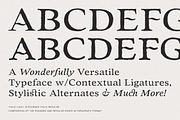 The Wonderling Font Pack, a Serif Font by Tom Chalky (Thumbnail 2 of 16)