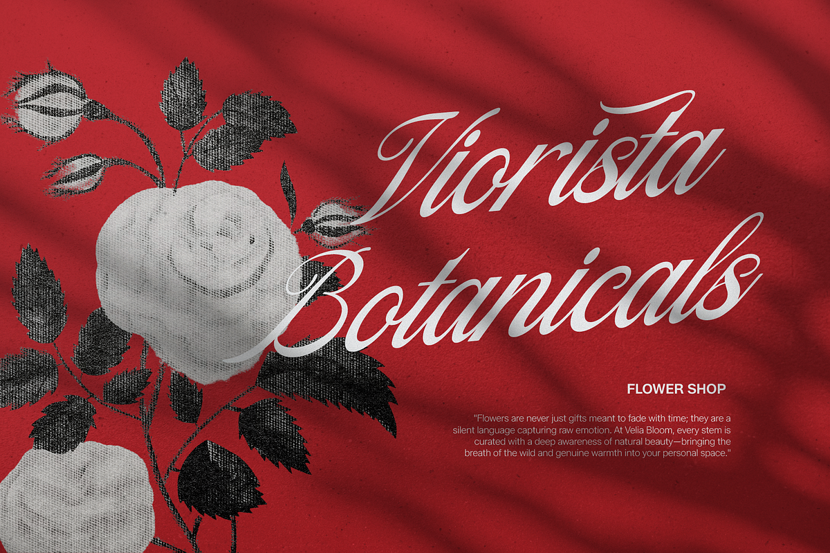 Filagio Vilantio Classic Script, a Script Font by gracetype_studio (Photo 5 of 11)