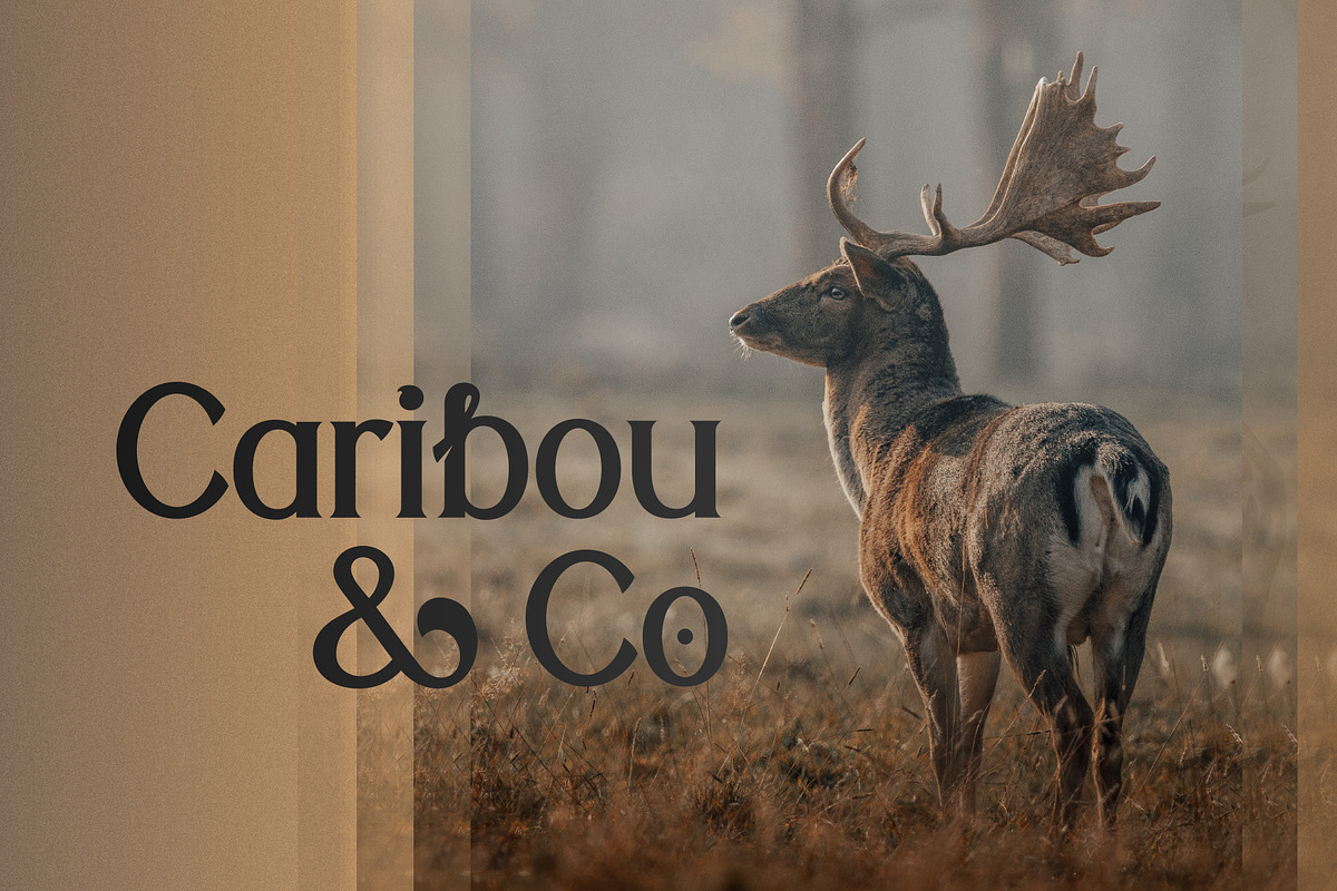 Khaki – Modern Serif & Sans Combo, a Serif Font by Lateral Design (Photo 8 of 9)